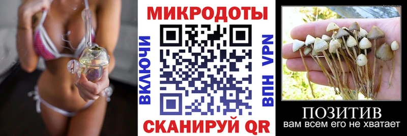 Псилоцибиновые грибы ЛСД  что такое наркотик  ссылка на мегу маркетплейс  Шебекино 